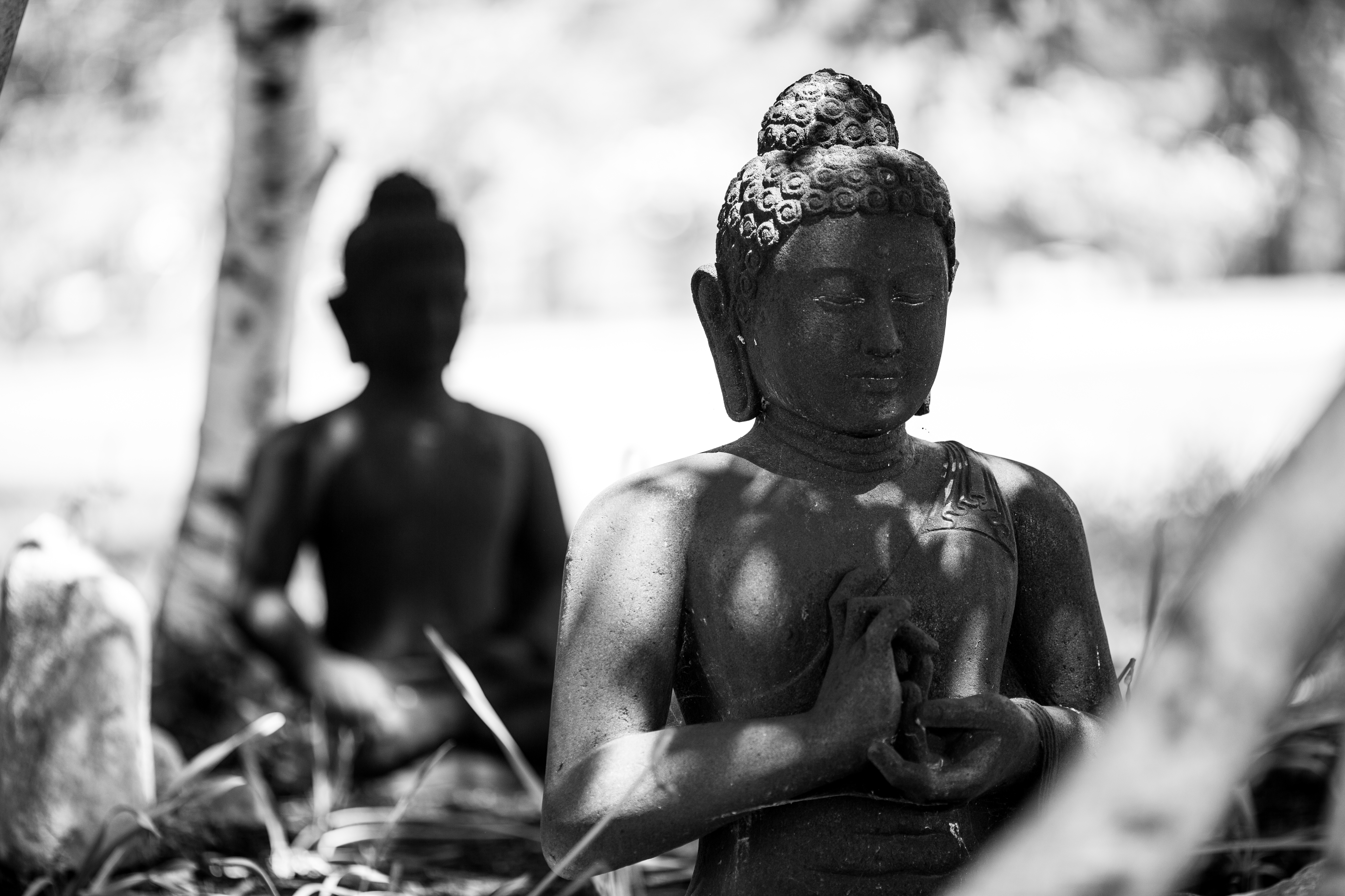 Buddha Statues under Trees. Blue Cliff Monastery, Pine Bush, New