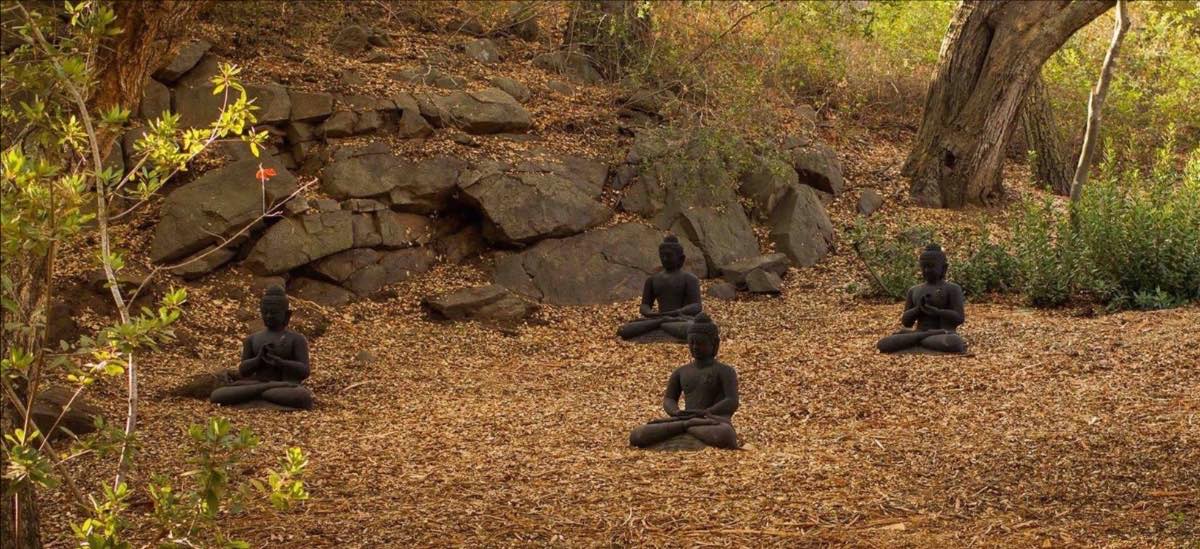 buddhas in leaves medium